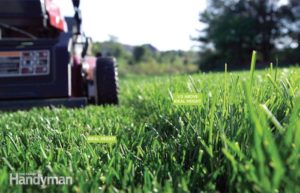Local Zoysia Grass Supplier and Installer in DFW
