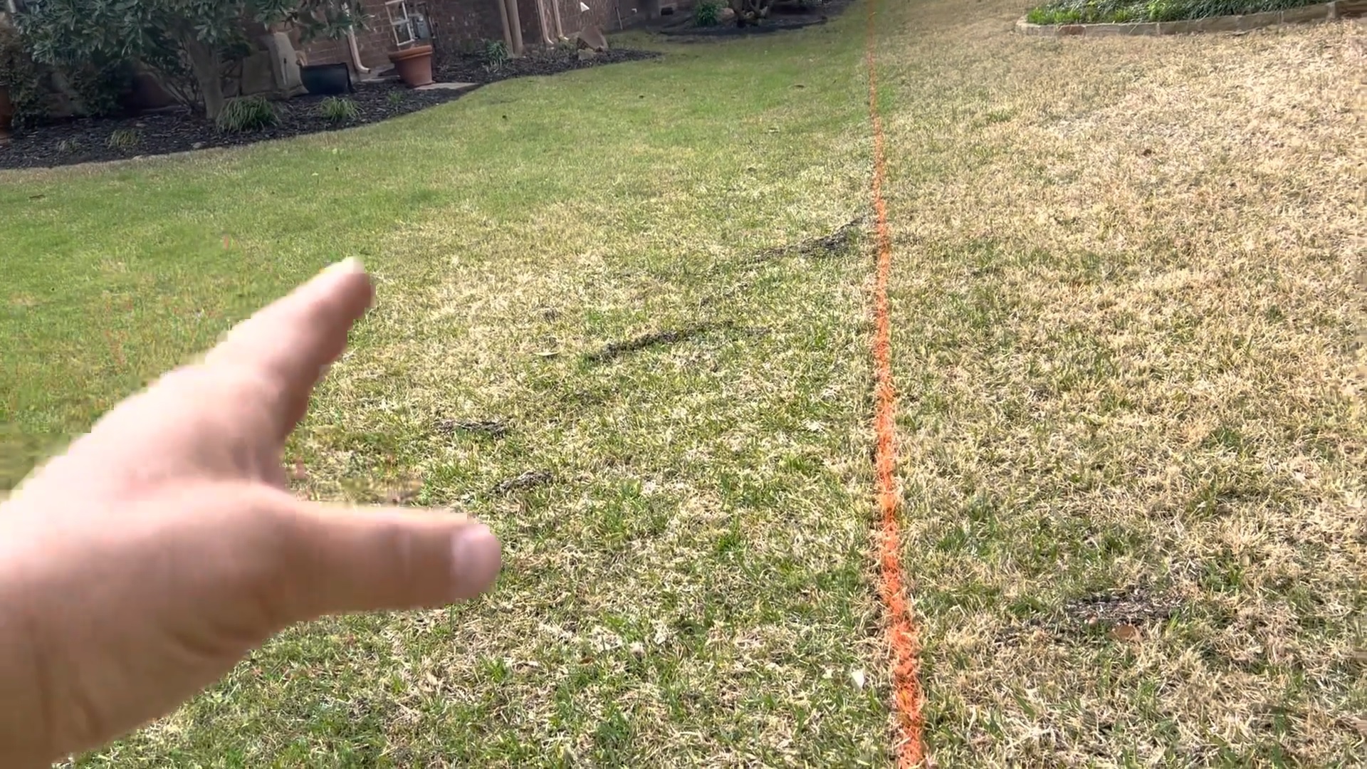 Create a Crisp Property Line When Installing Zoysia Sod Grass