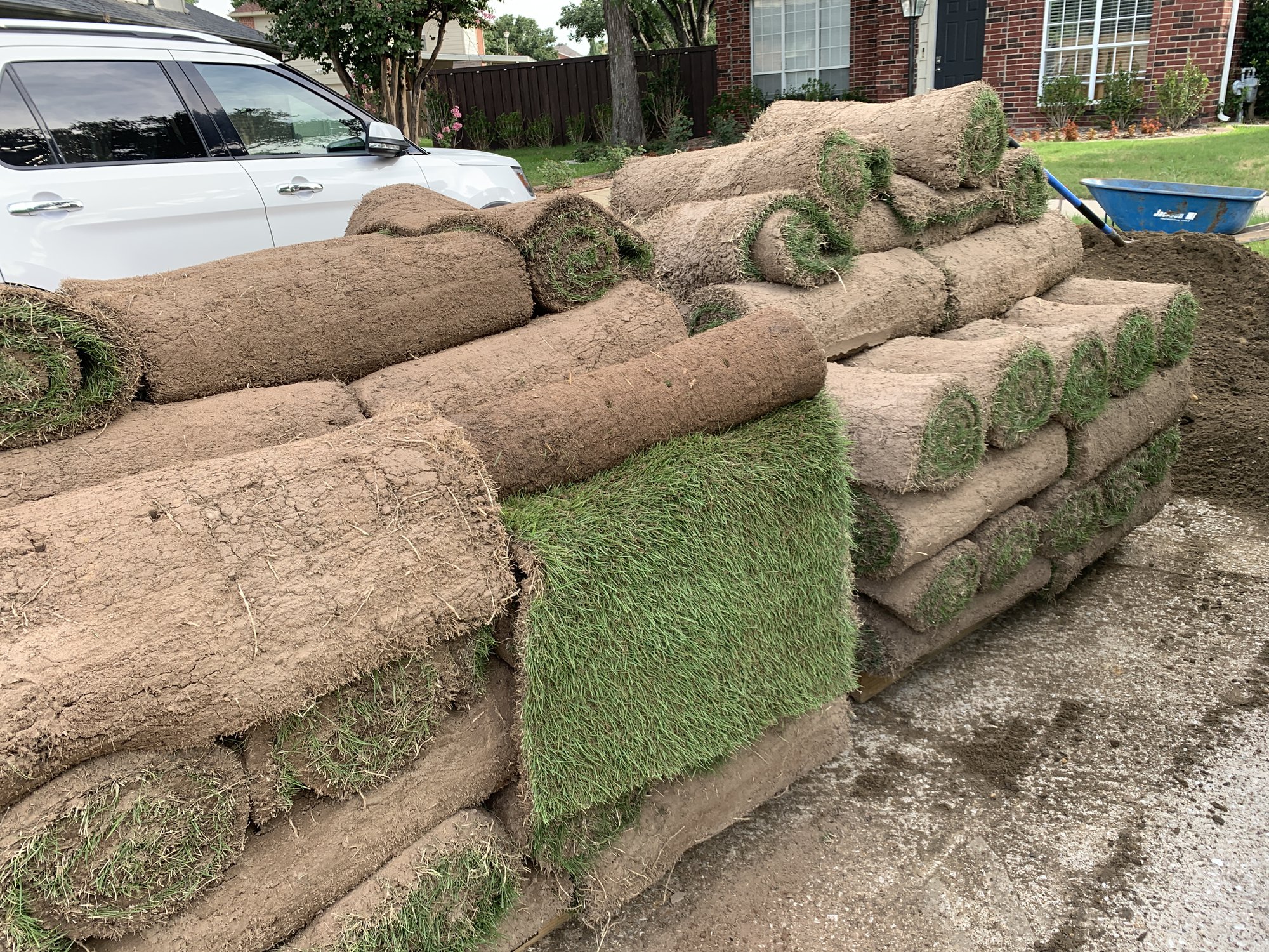 Is Laying Sod The Adult Version of Rolling Out Play-Doh ??