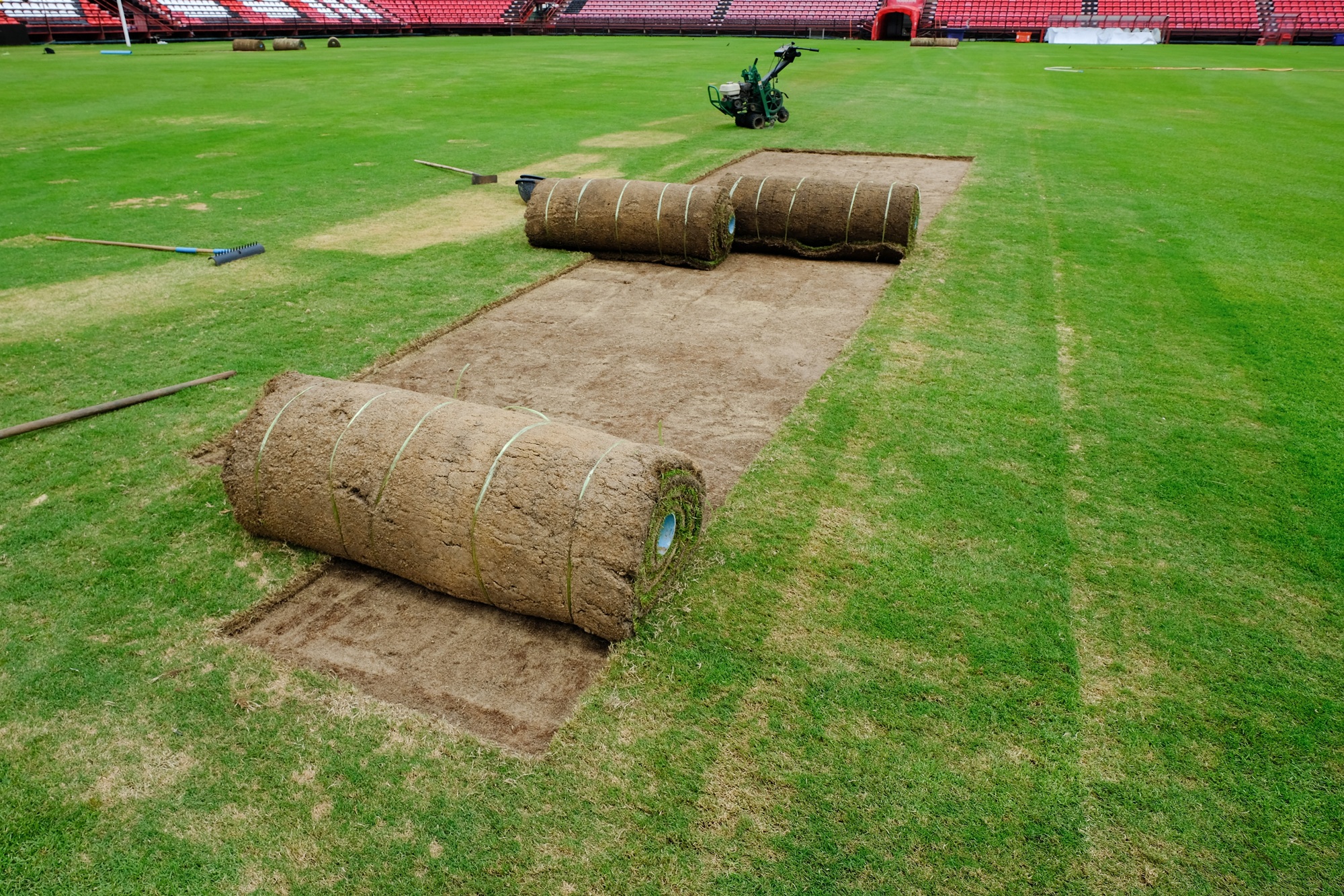 Zoysia Grass in Texas: Why It Outperforms Every Other Warm-Season Grass