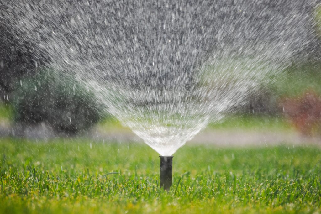 How to Water New Zoysia Sod in Texas