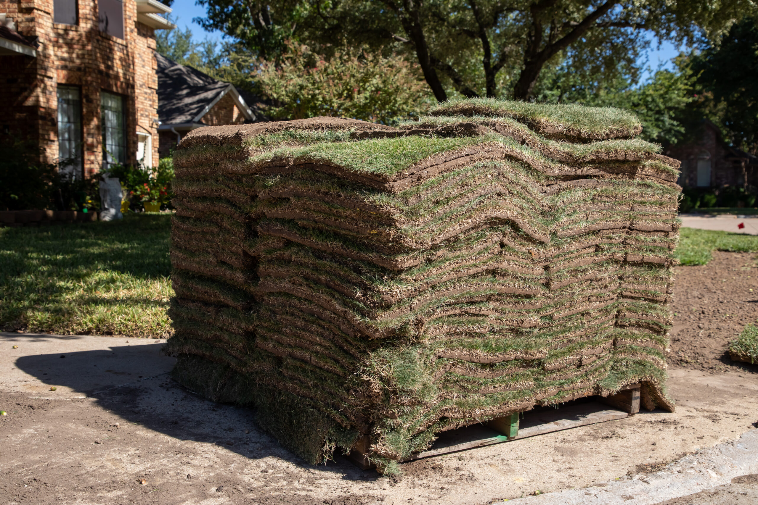 How to Measure Your Yard for Zoysia Sod Installation